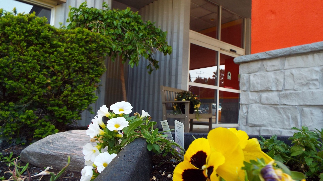 Photo of Patio Balcony in Owen Sound
