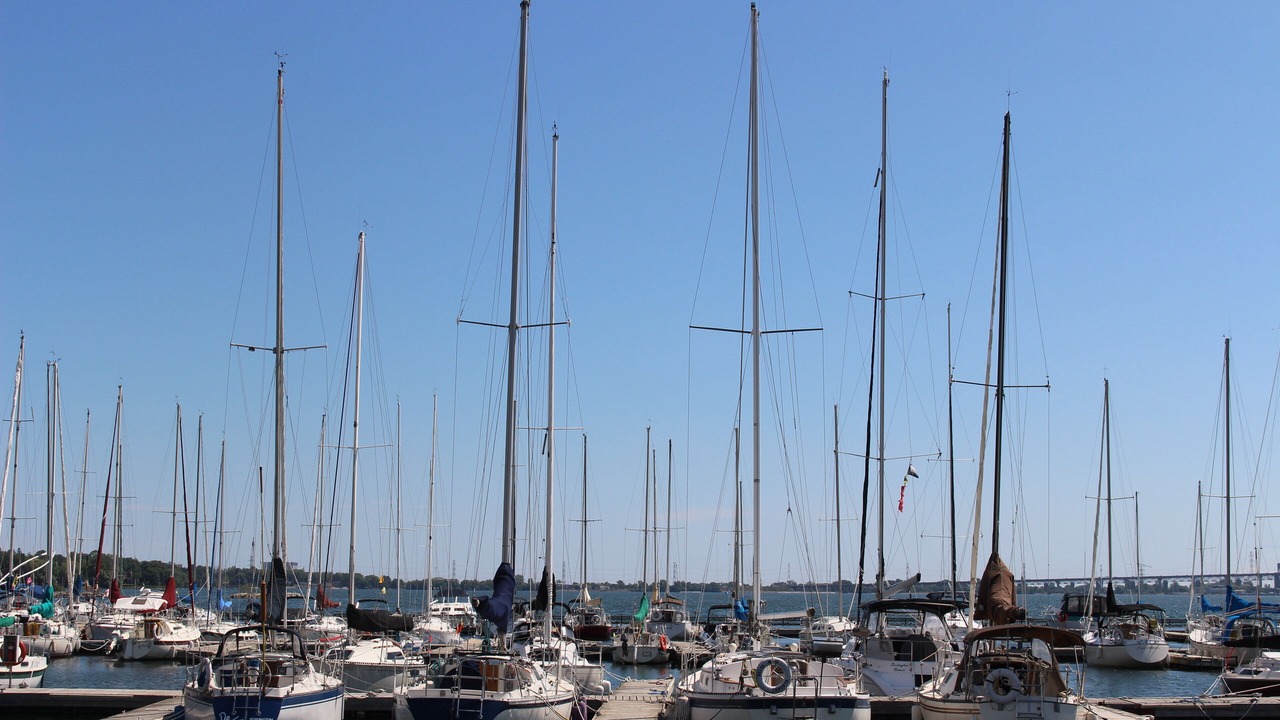 Photo of Others in Burlington