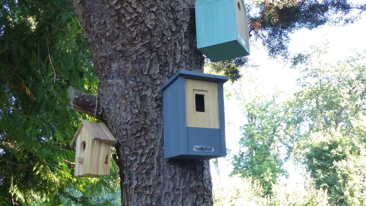 Photo of Outdoor in Meudon