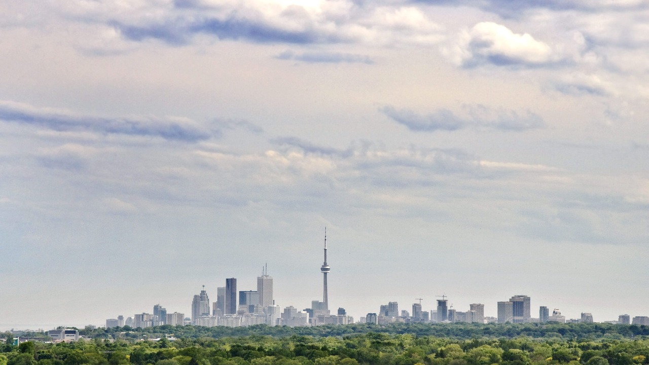 Photo of Others in North York