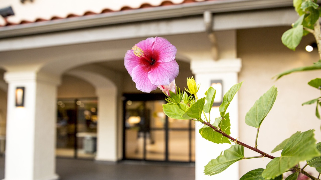 Photo of Outdoor in West Kissimmee