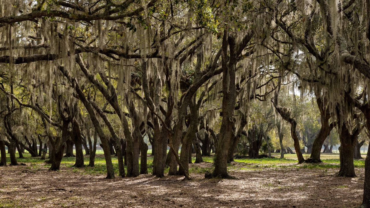 Photo of Outdoor in River Ranch