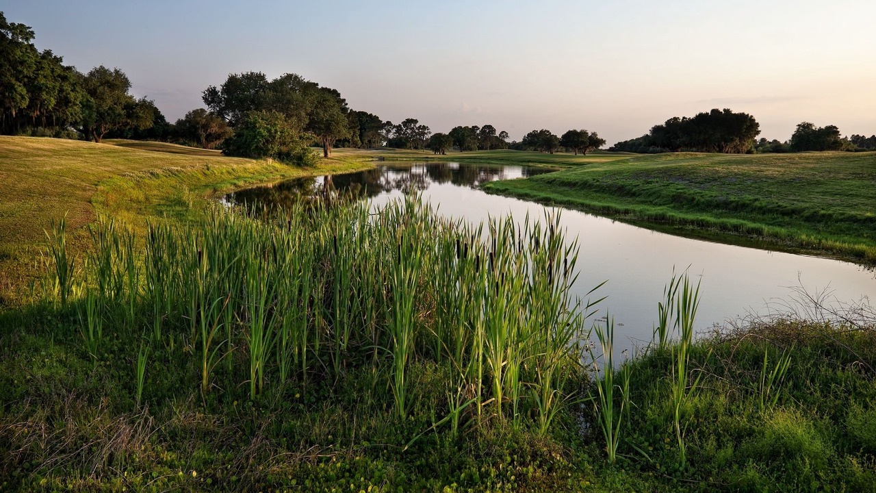 Photo of Outdoor in River Ranch