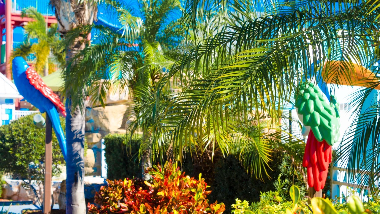 Photo of Outdoor in Kissimmee