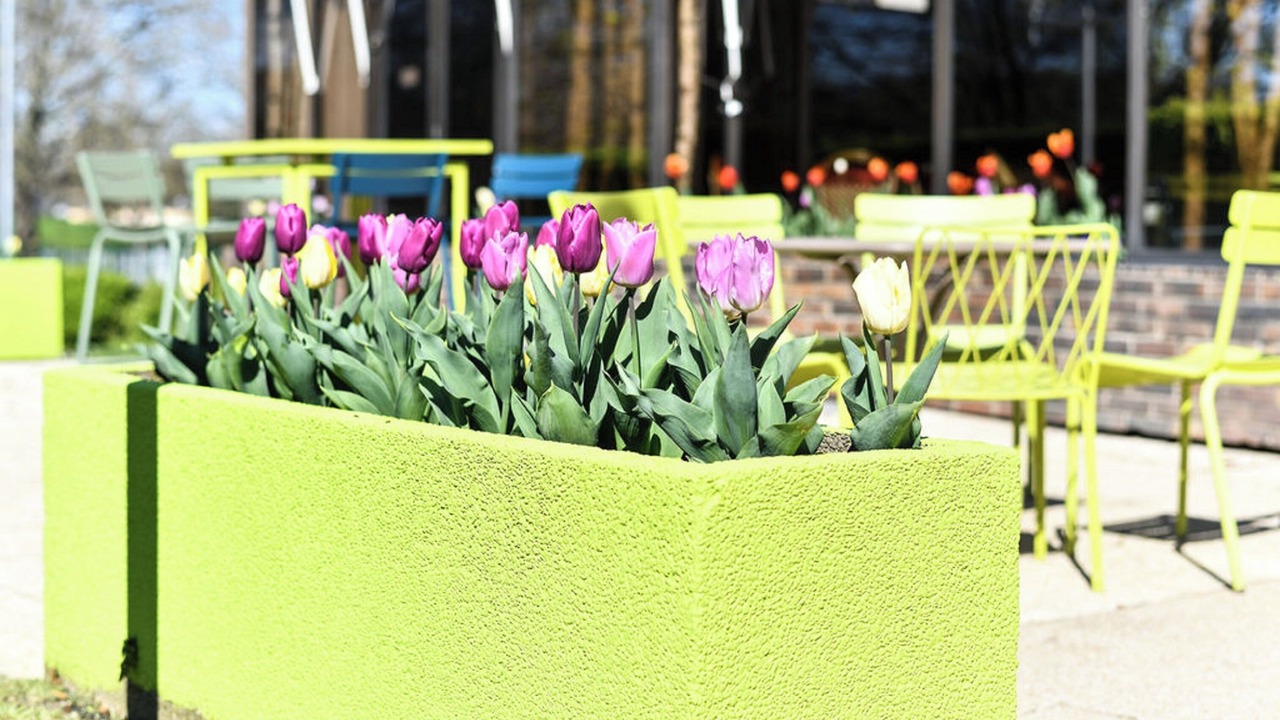 Photo of Patio Balcony in Creteil