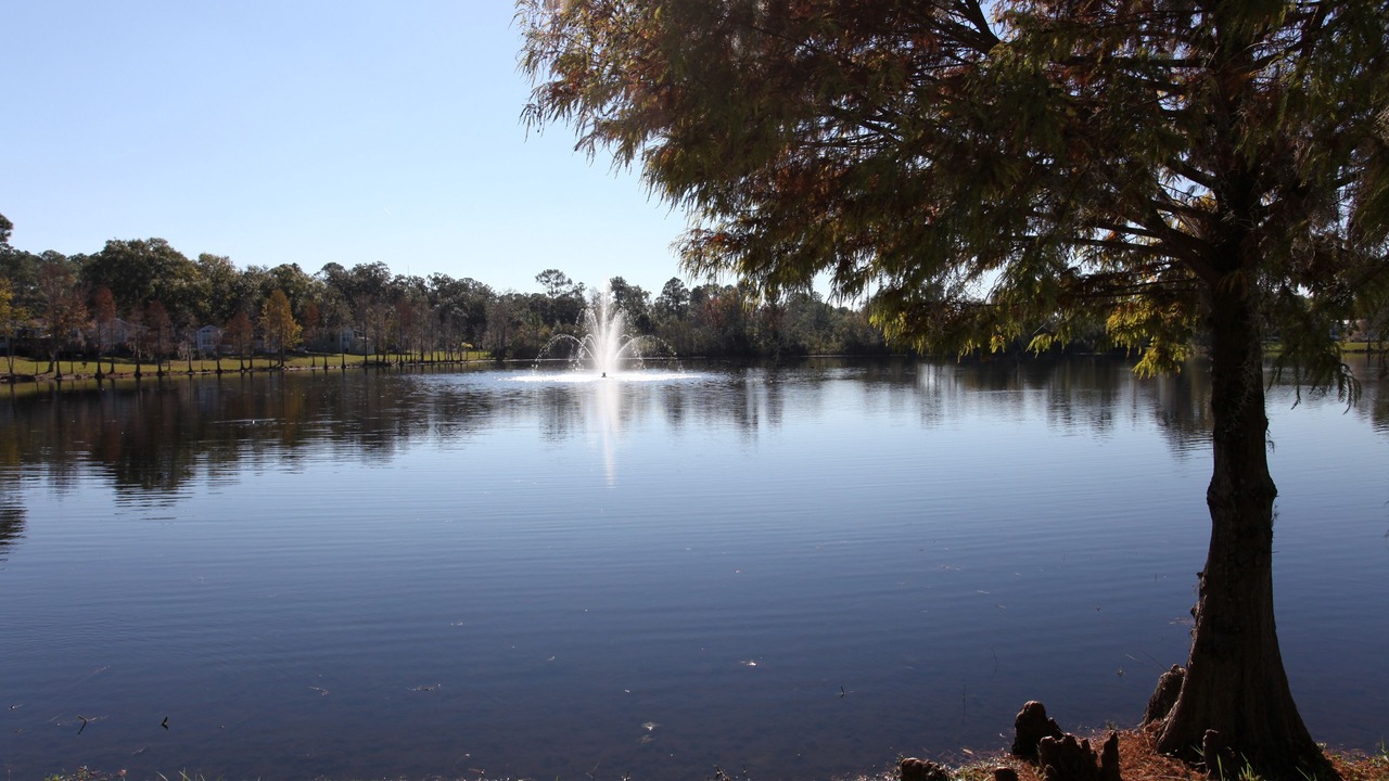 Photo of Others in Kissimmee