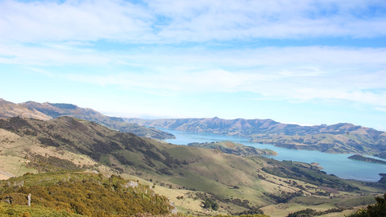 Photo of Others in Akaroa