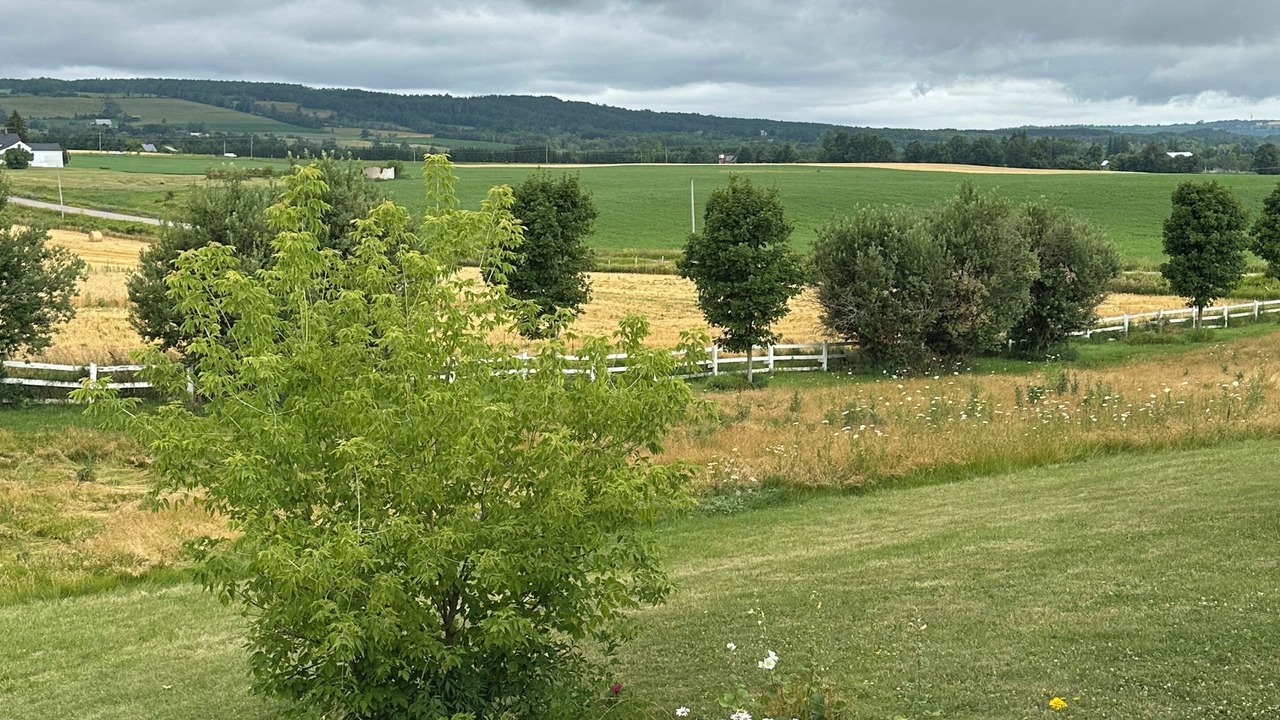Photo of Outdoor in Creemore