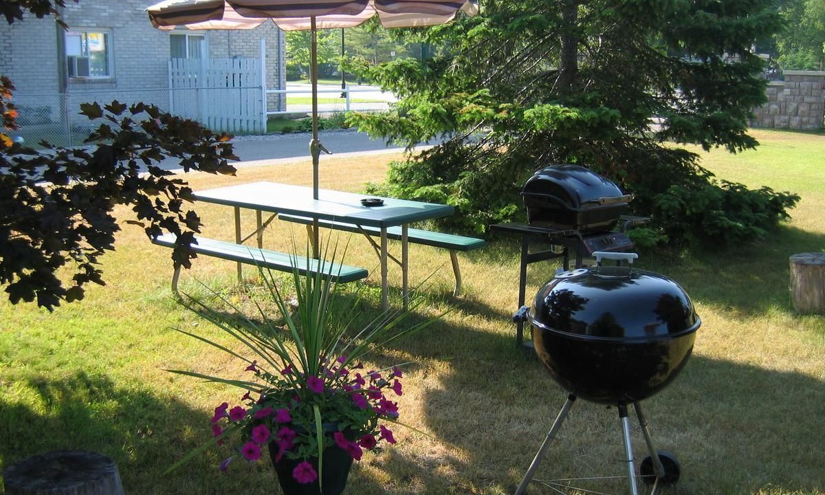 Photo of Outdoor in Wasaga Beach