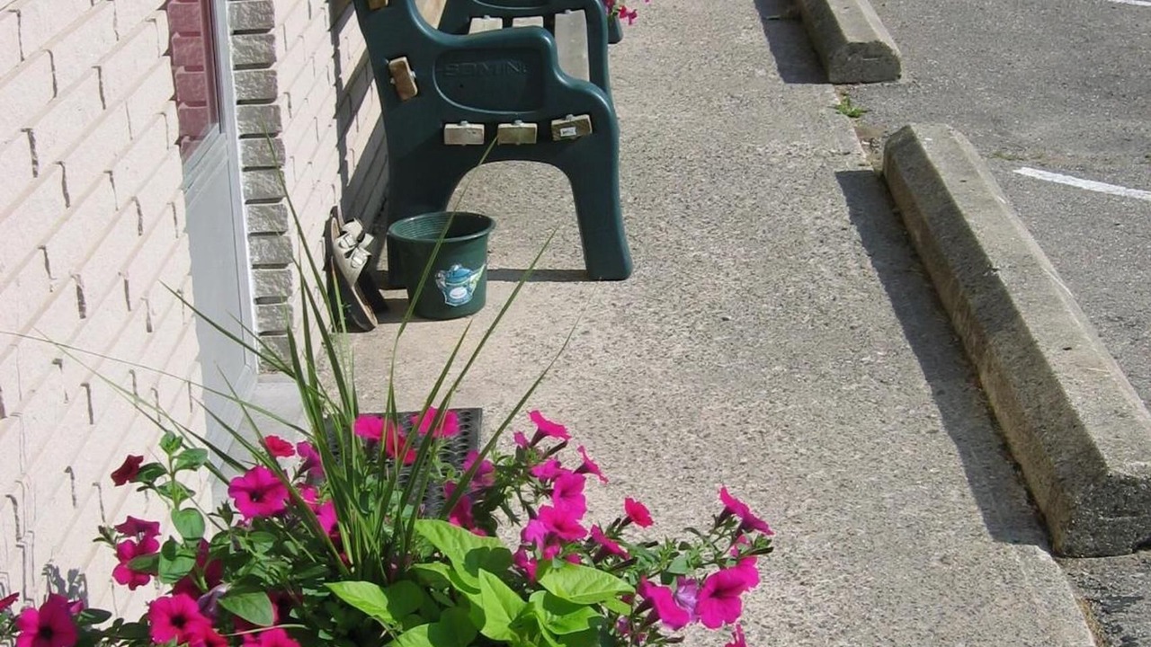 Photo of Outdoor in Wasaga Beach