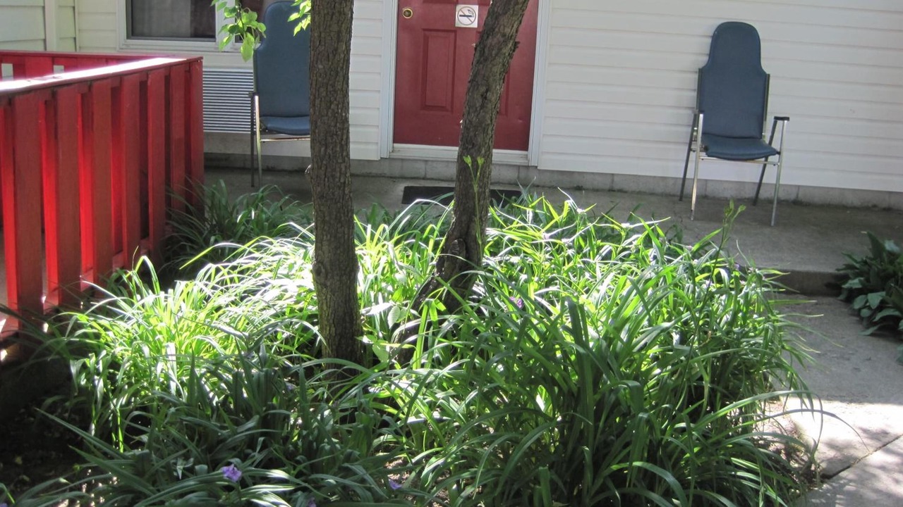 Photo of Outdoor in Stratford