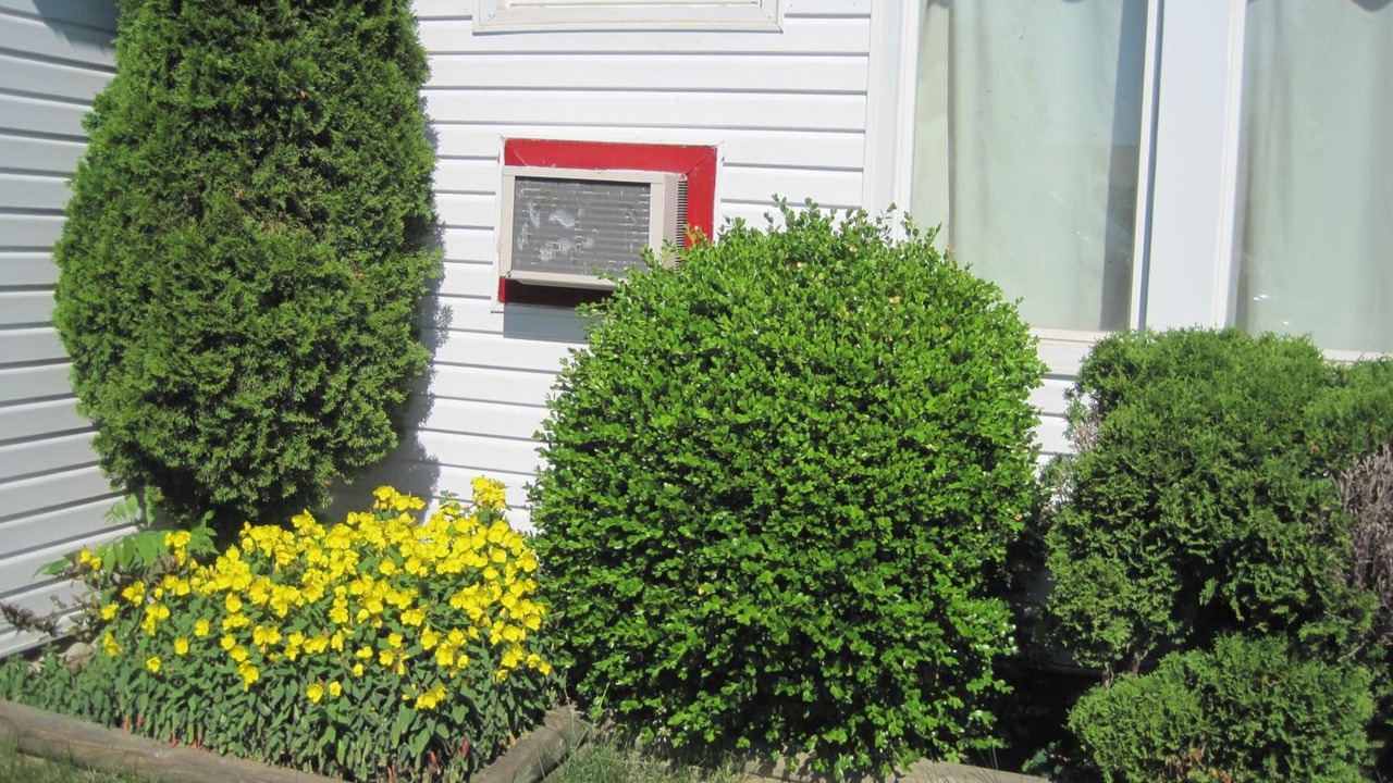Photo of Outdoor in Stratford