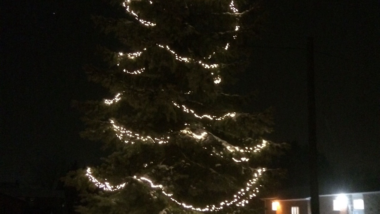 Photo of Outdoor in Creemore
