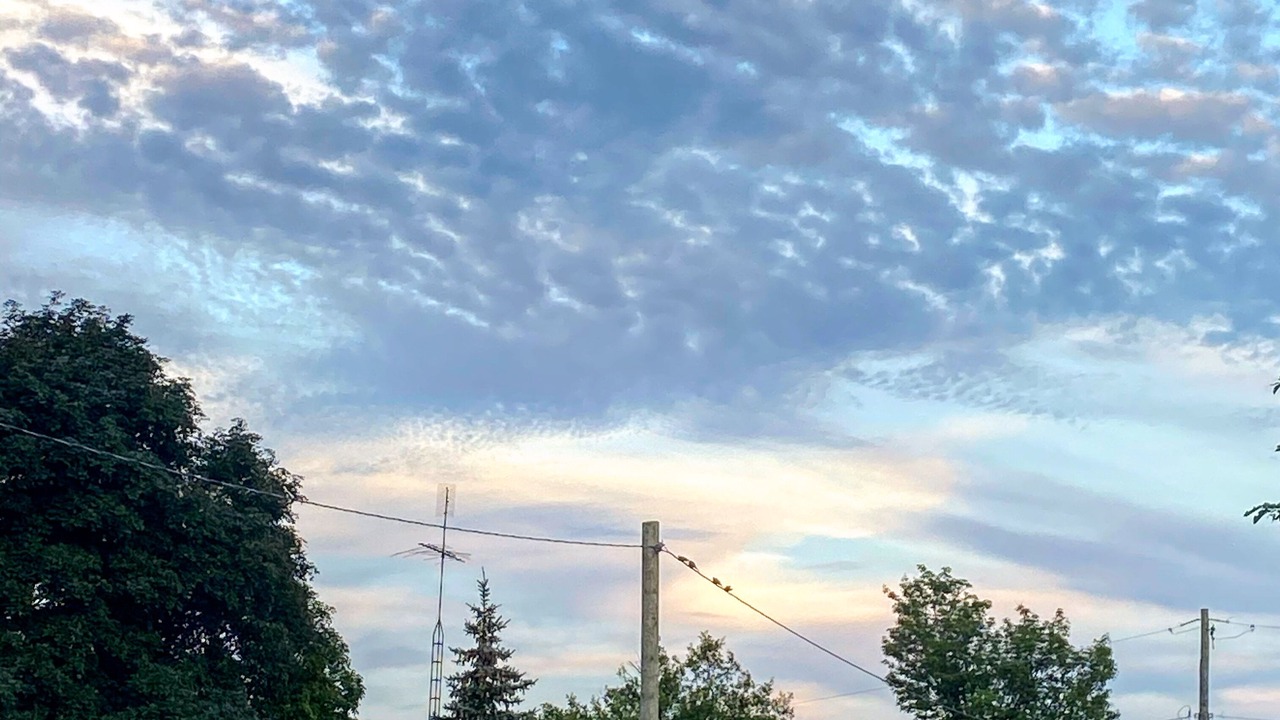 Photo of Outdoor in Creemore
