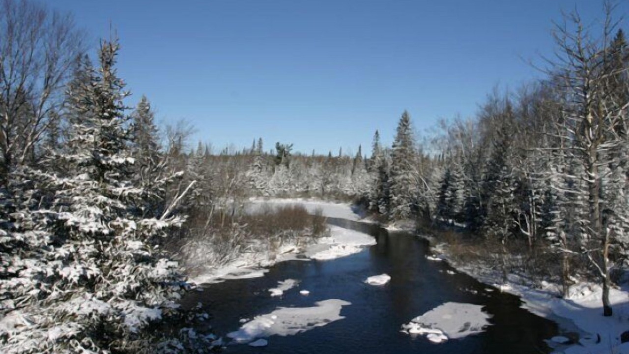 Photo of Outdoor in Algonquin Highlands
