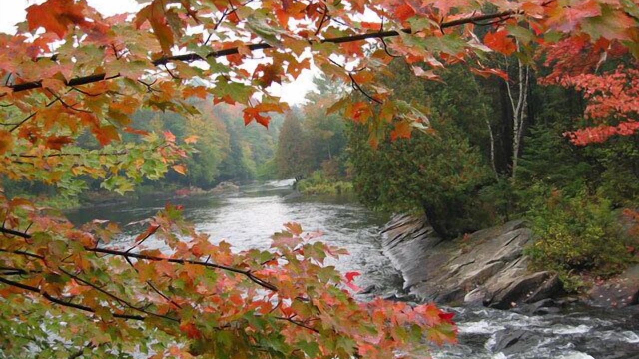 Photo of Outdoor in Algonquin Highlands