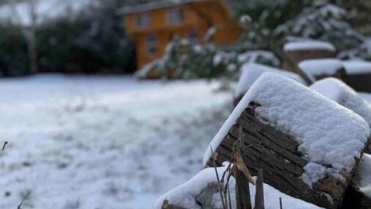 Photo of Outdoor in Sauble Beach