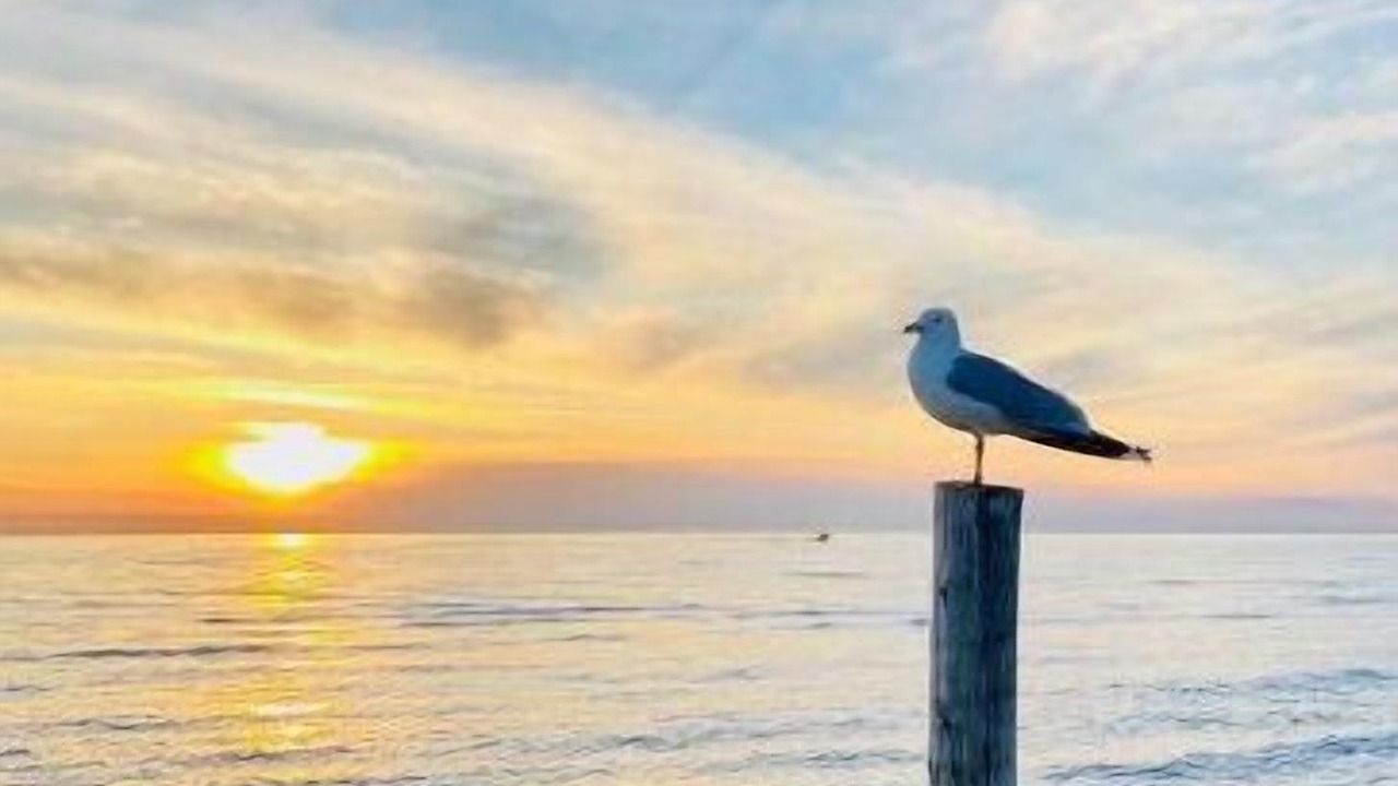 Photo of Others in Sauble Beach