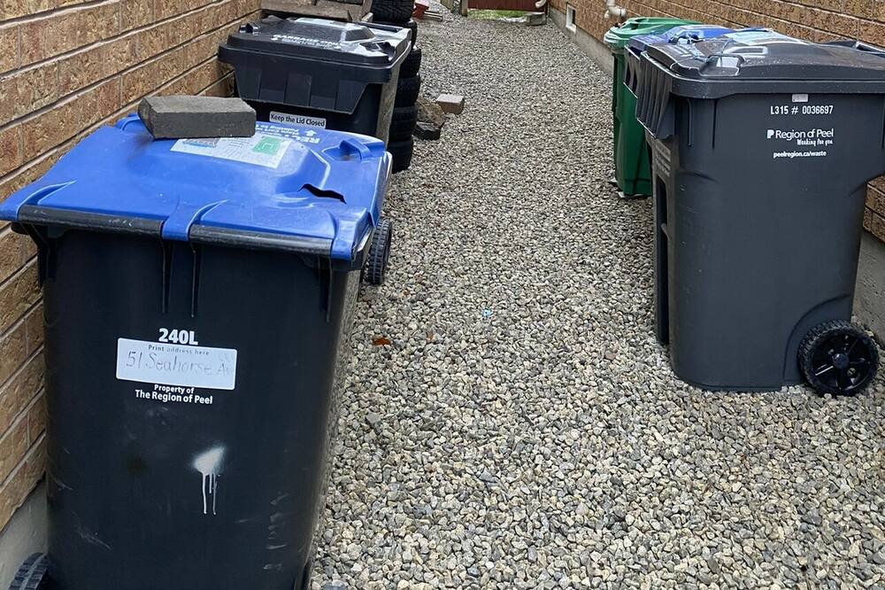 Photo of Outdoor in Brampton