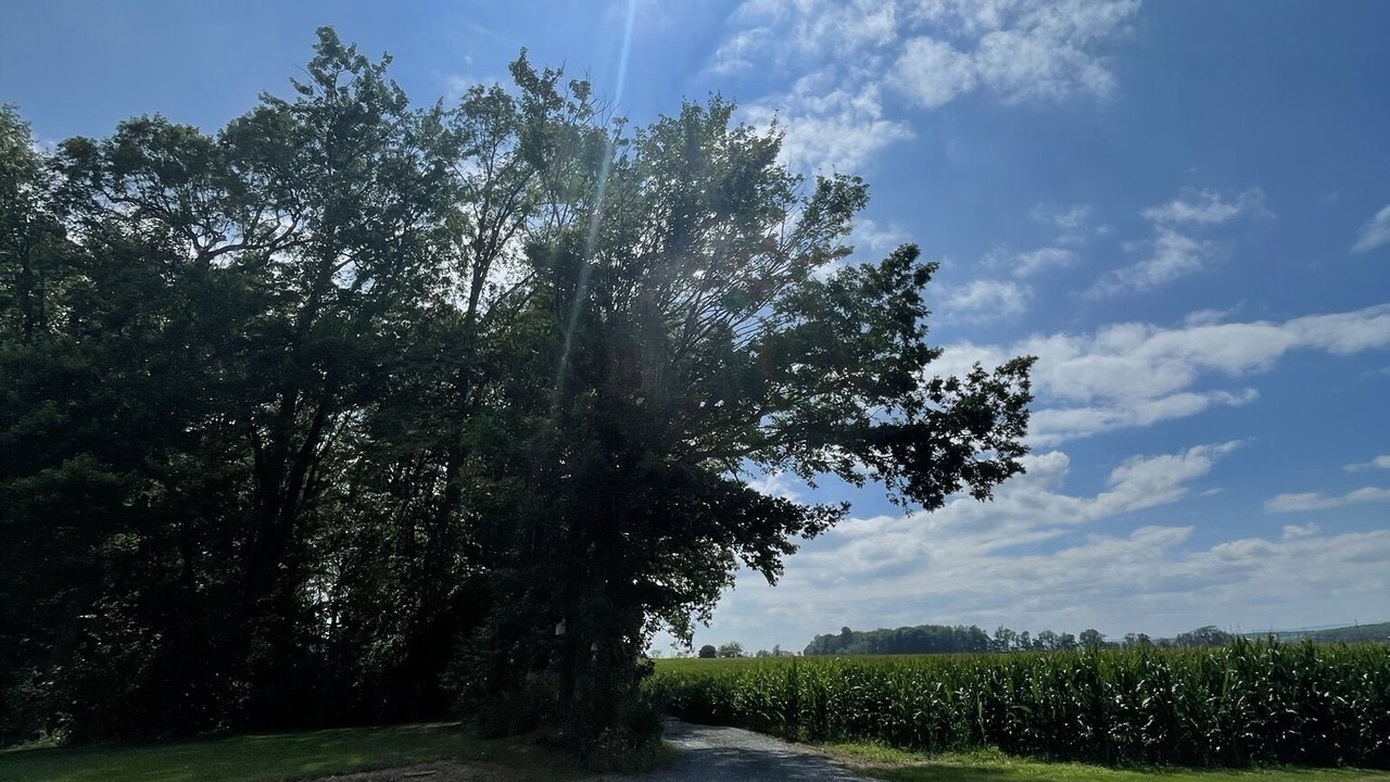Photo of Outdoor in State College