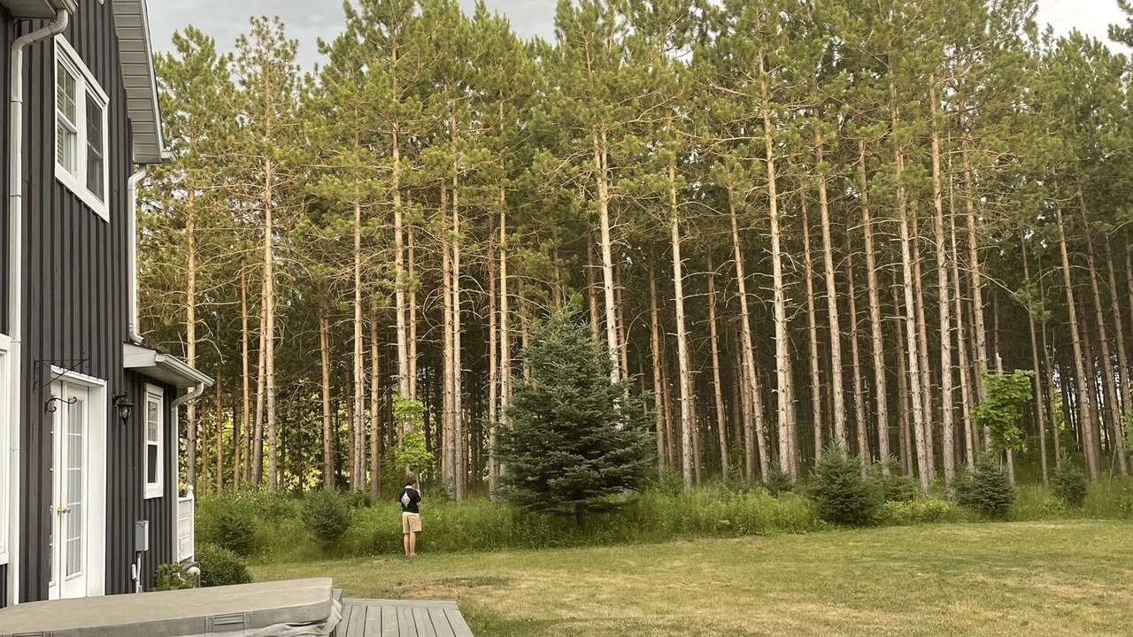 Photo of Outdoor in Mulmur