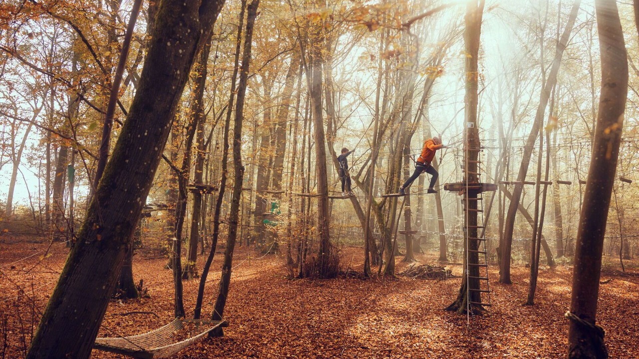 Photo of Outdoor in Bailly-Romainvilliers