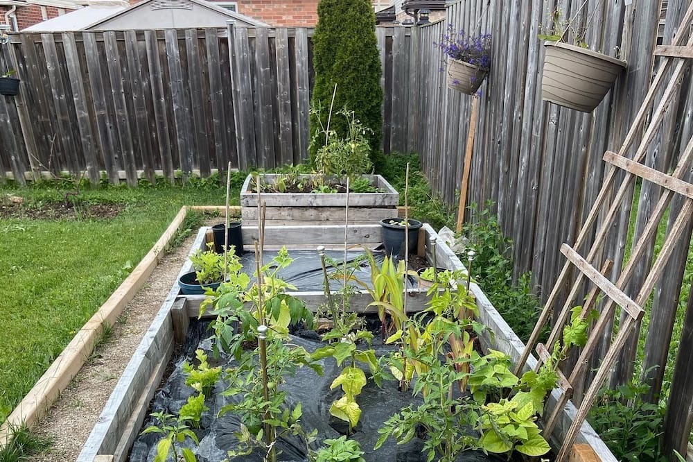Photo of Outdoor in Guelph