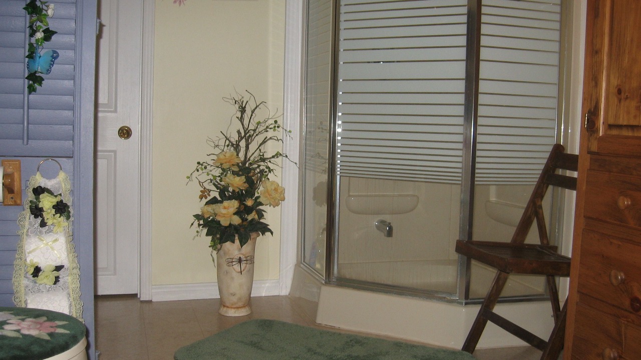 Photo of Bathroom in Cayuga