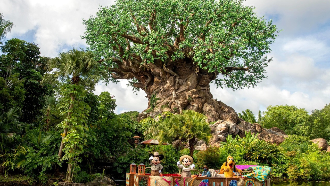 Photo of Others in Lake Buena Vista