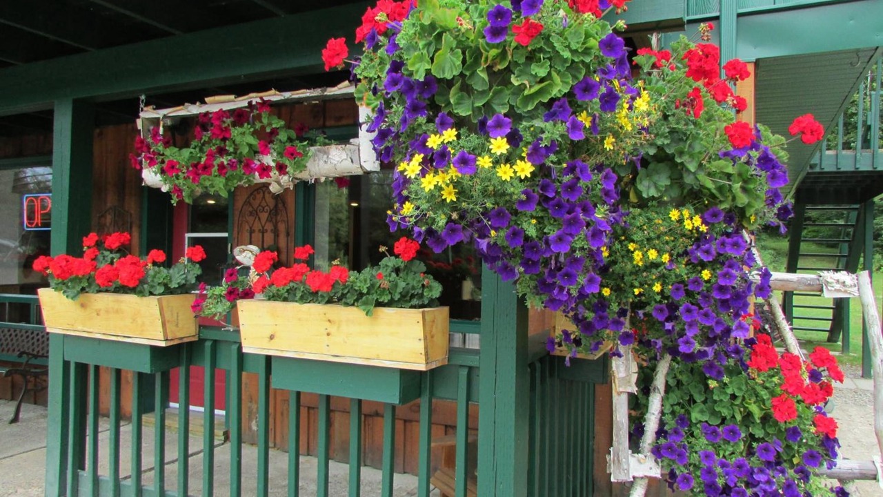 Photo of Outdoor in Dwight