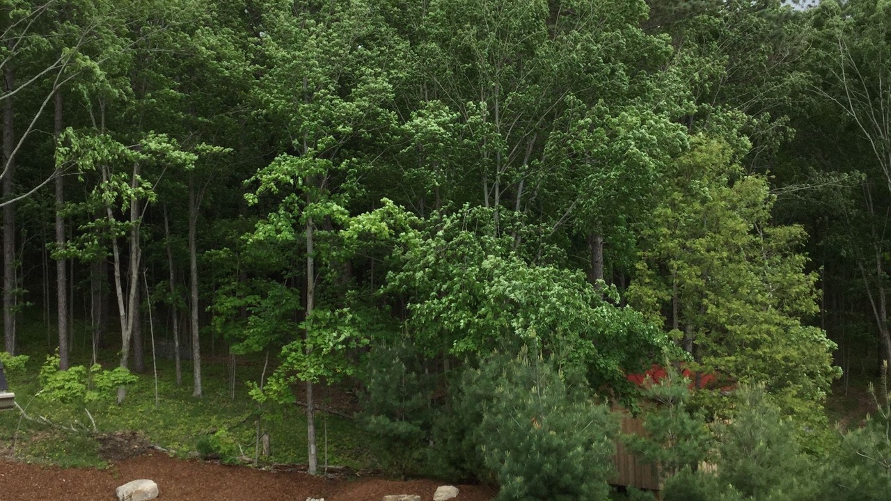 Photo of Outdoor in Huntsville