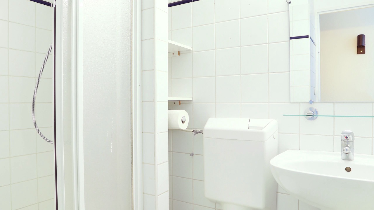 Photo of Bathroom in Les Lilas