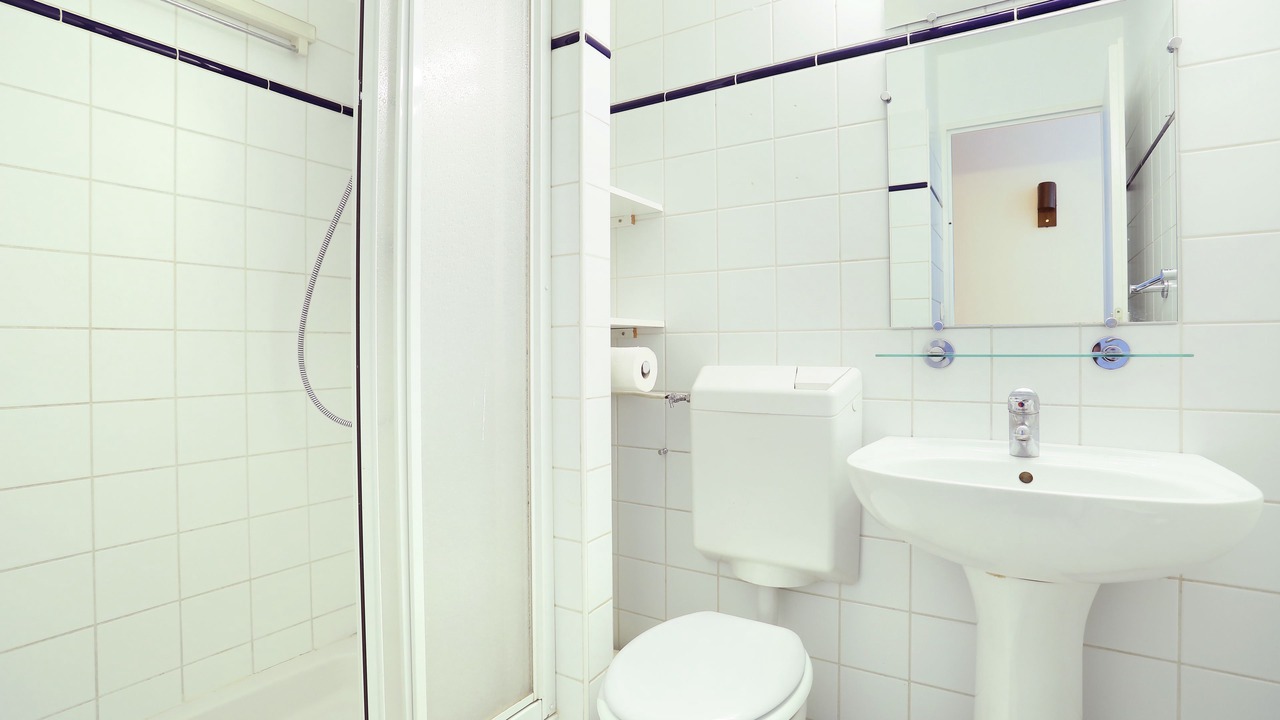 Photo of Bathroom in Les Lilas