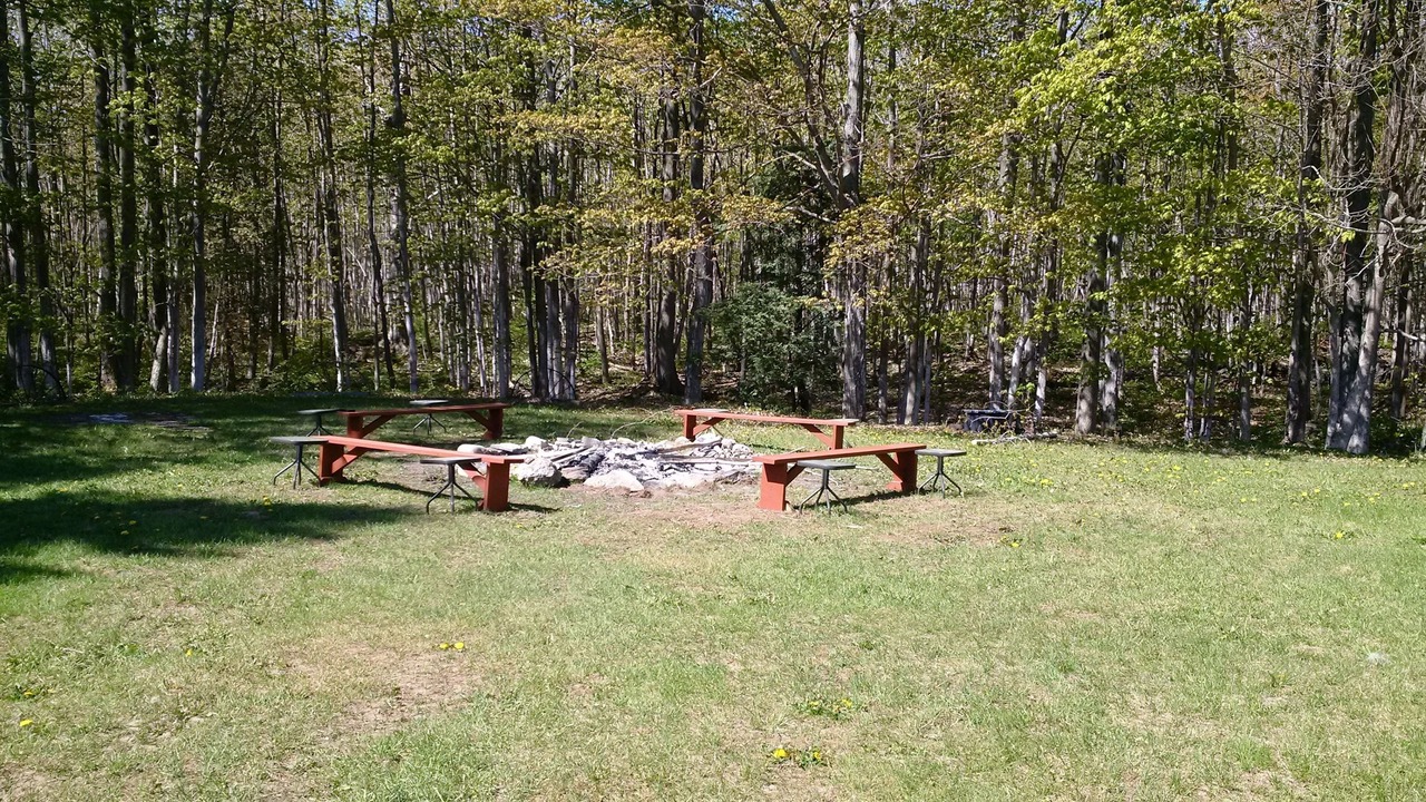 Photo of Others in Wiarton