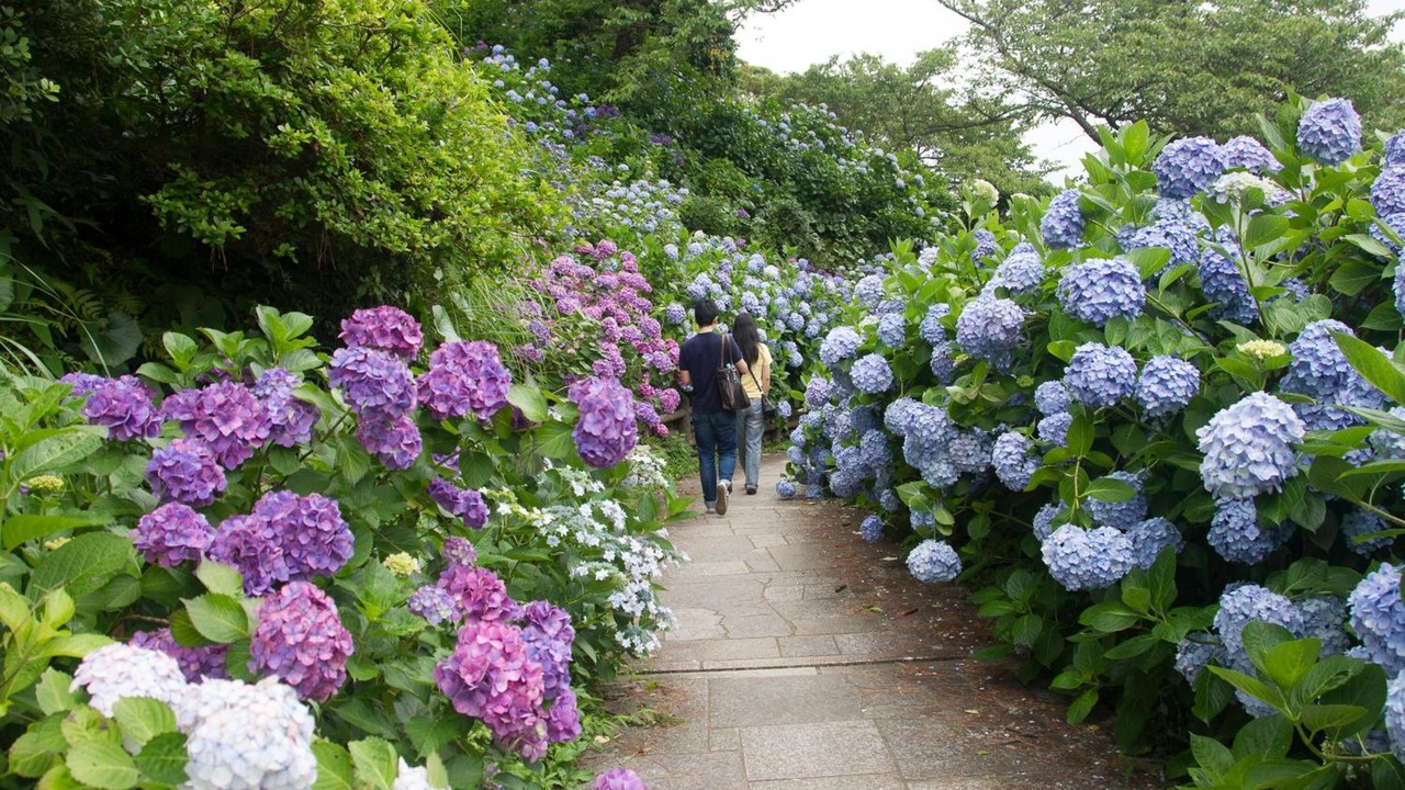 Photo of Outdoor in Kakisaki