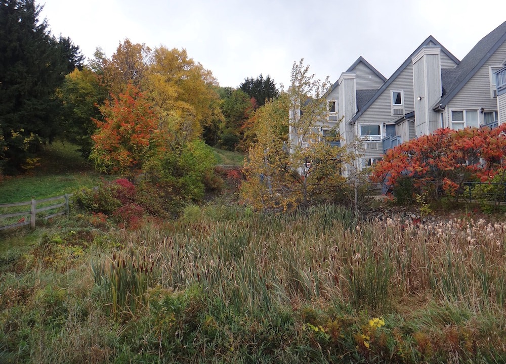 Photo of Outdoor in Craigleith