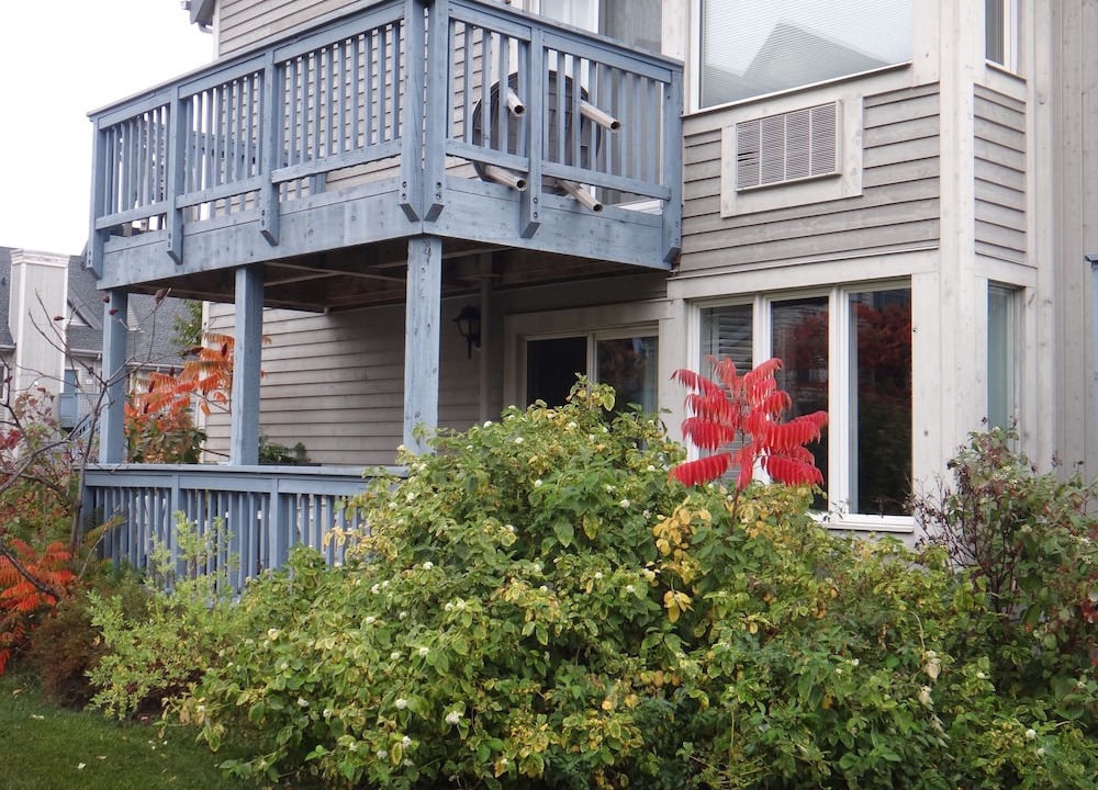 Photo of Outdoor in Craigleith