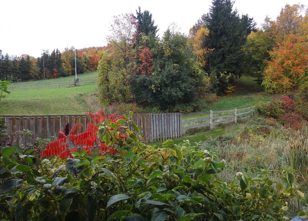Photo of Outdoor in Craigleith