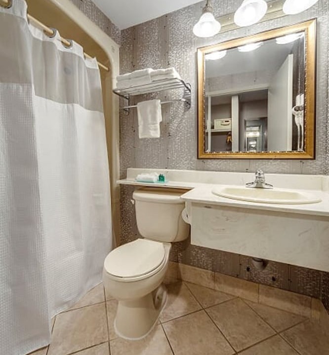 Photo of Bathroom in Airport Road Business Centre