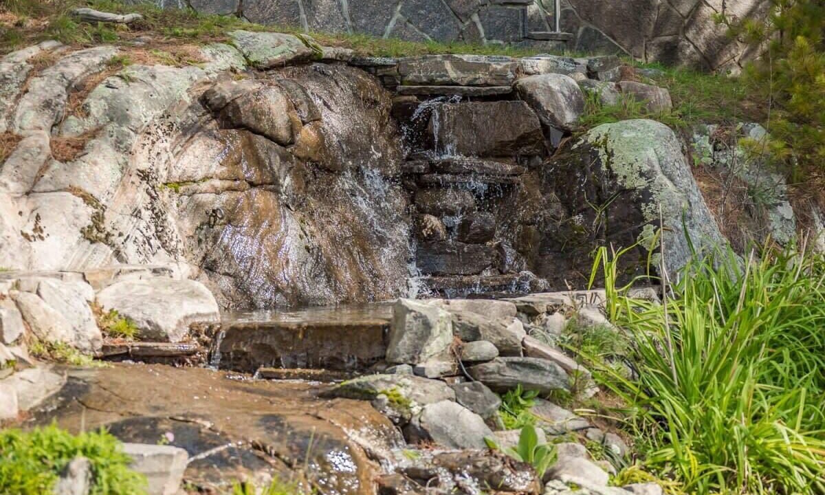 Photo of Others in Utterson