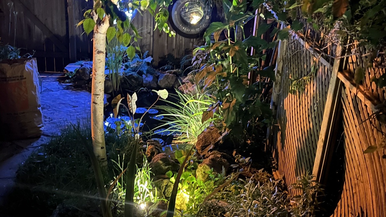 Photo of Outdoor in Cabbagetown
