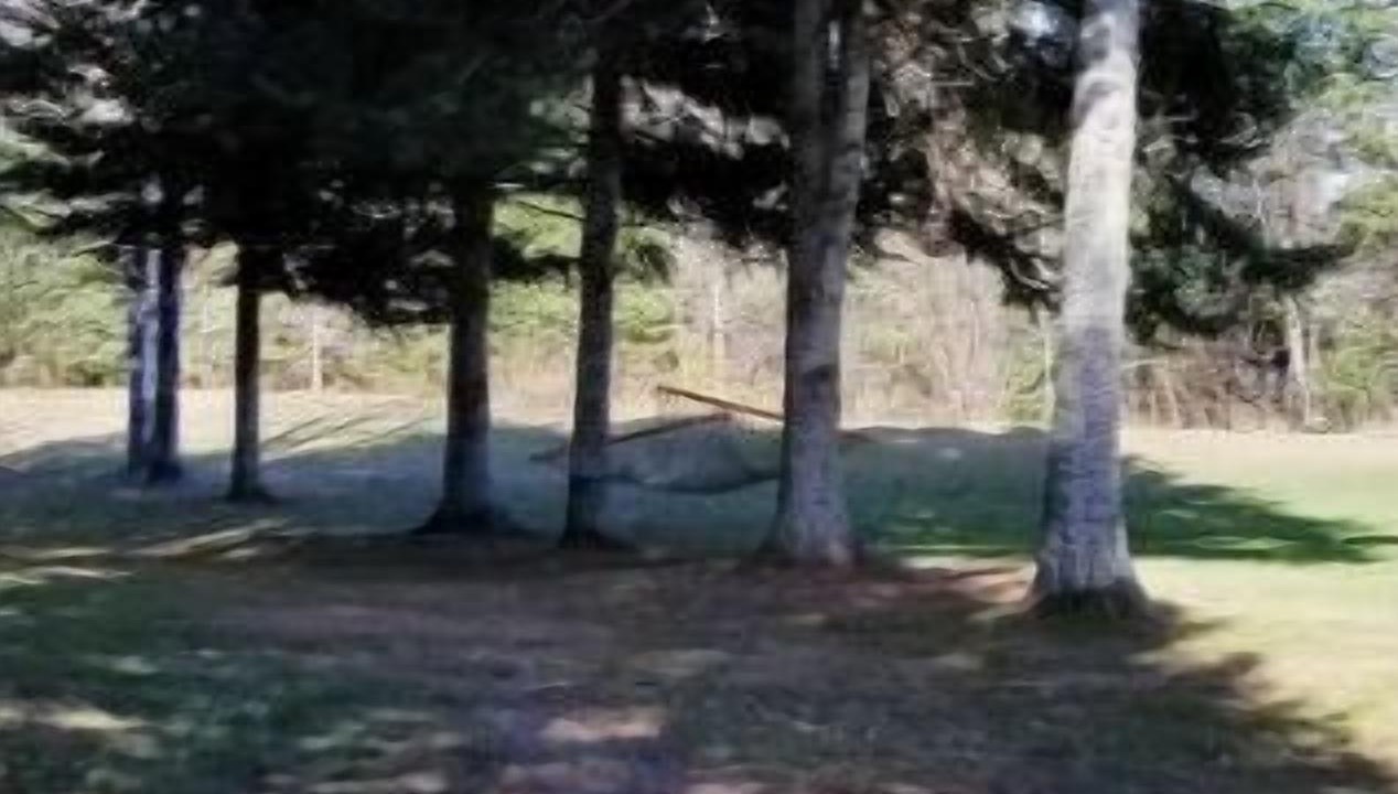 Photo of Outdoor in Emsdale