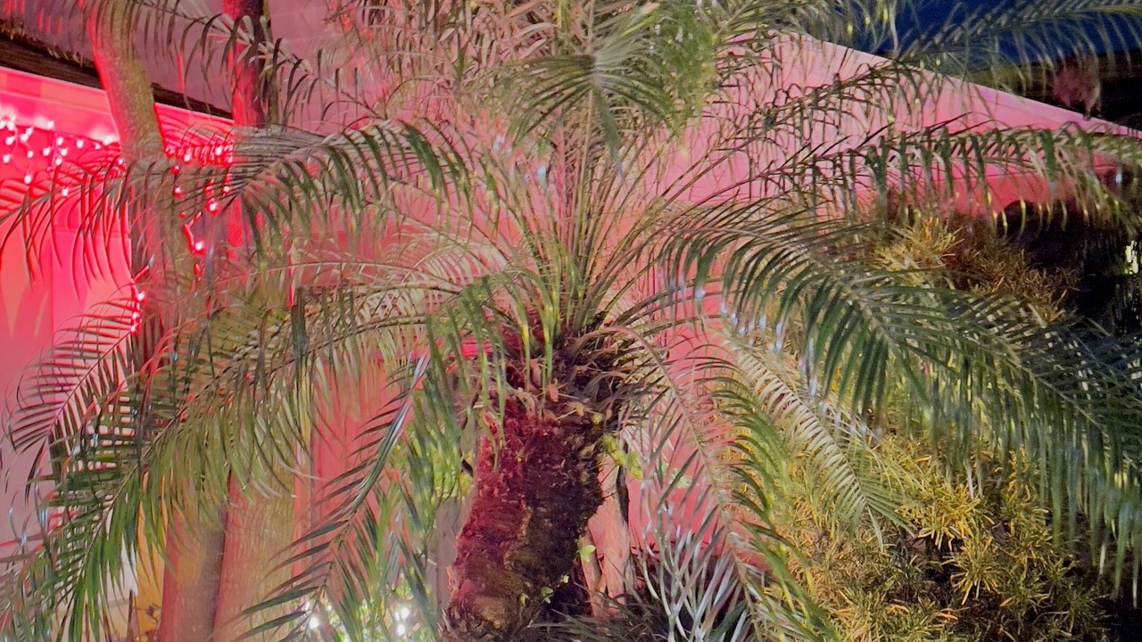 Photo of Outdoor in Indian Point