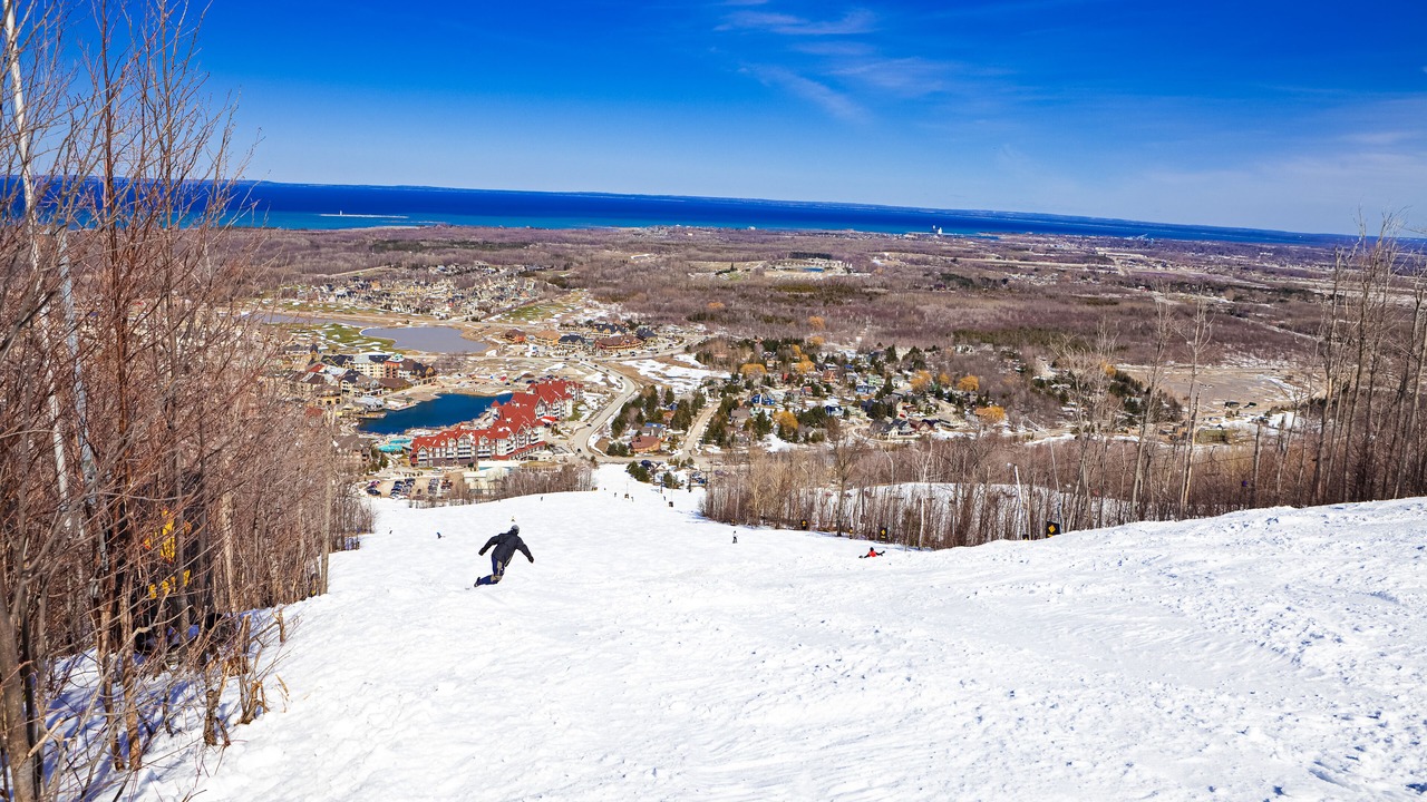 Photo of Others in Craigleith