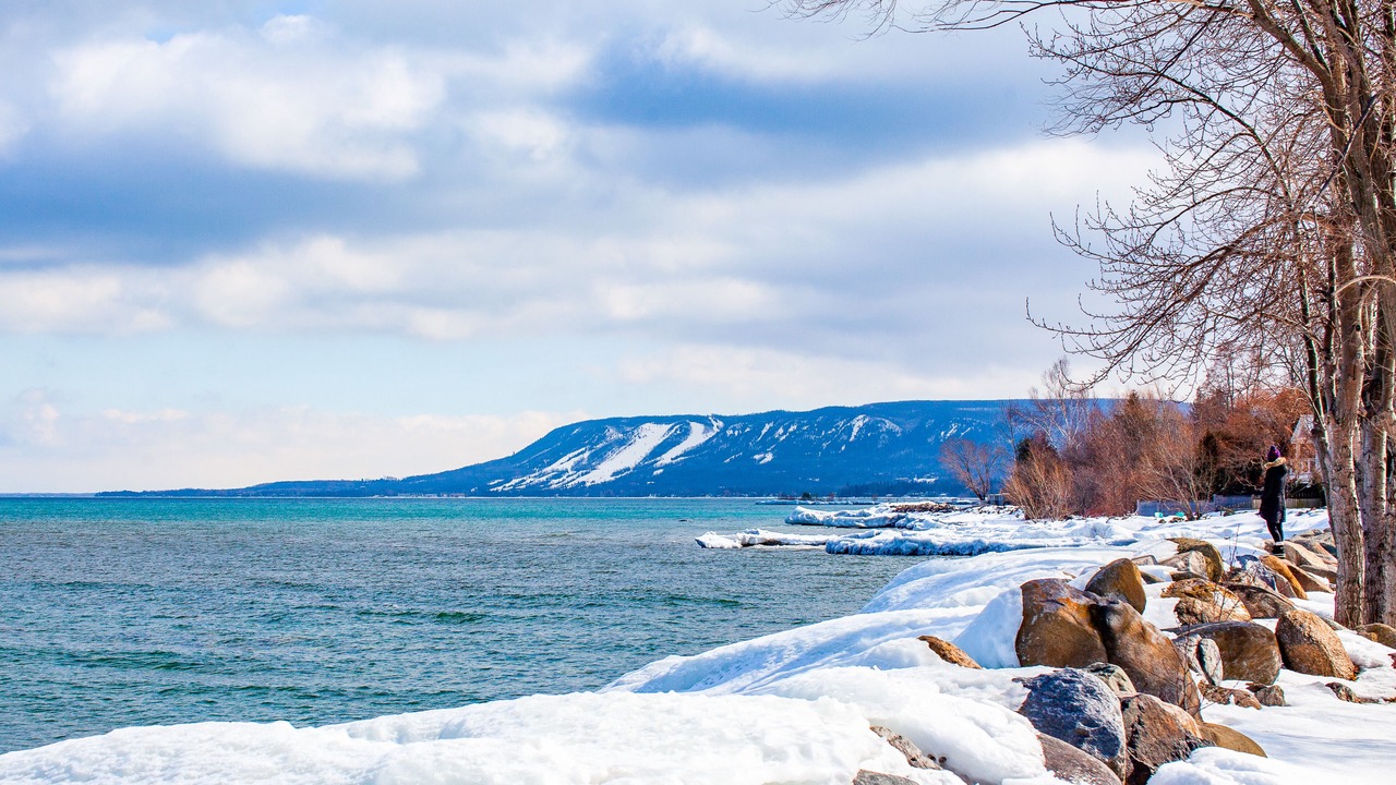 Photo of Others in Craigleith