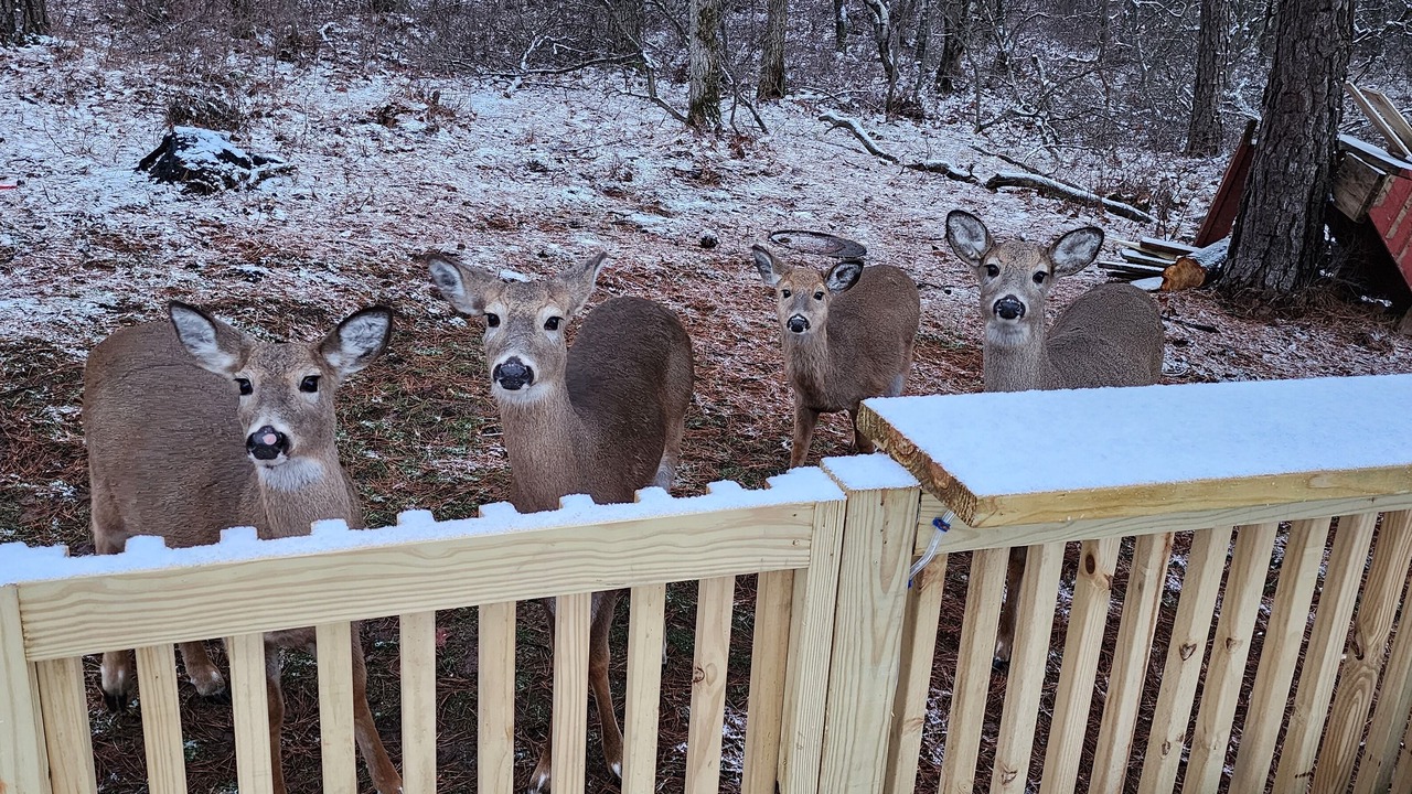 Photo of Others in Tunkhannock Township