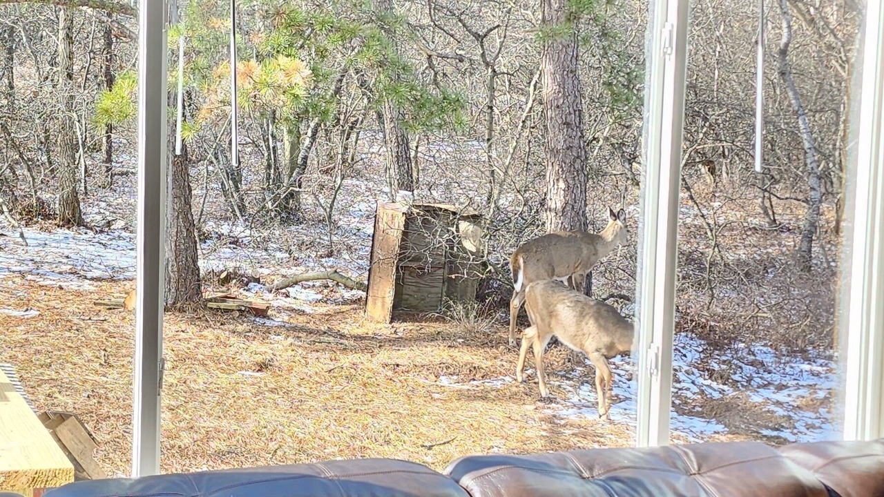 Photo of Others in Tunkhannock Township