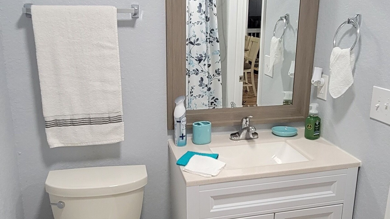 Photo of Bathroom in Lutz