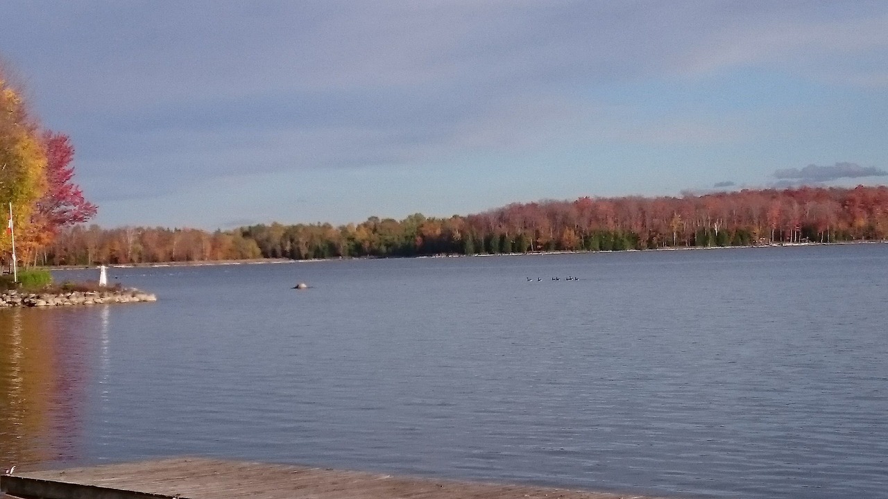 Photo of Outdoor in Grey Highlands