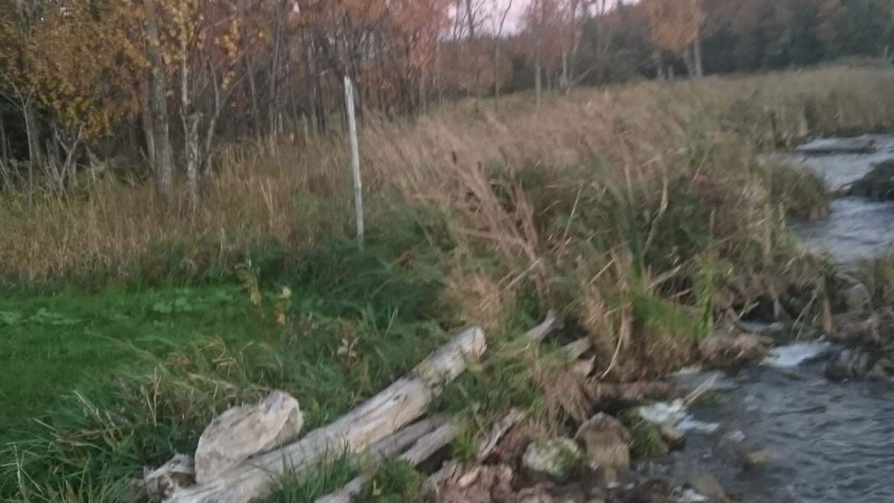 Photo of Outdoor in Grey Highlands